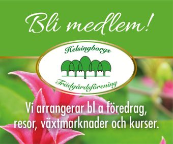 Helsingborgs Trädgårdsförening
