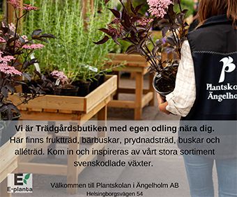 Plantskolan-Ängelholm-annons